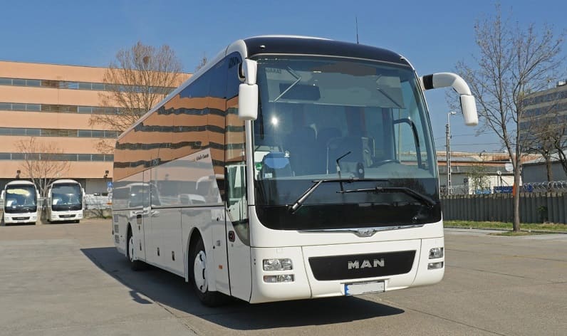 Saxony: Buses operator in Riesa in Riesa and Germany