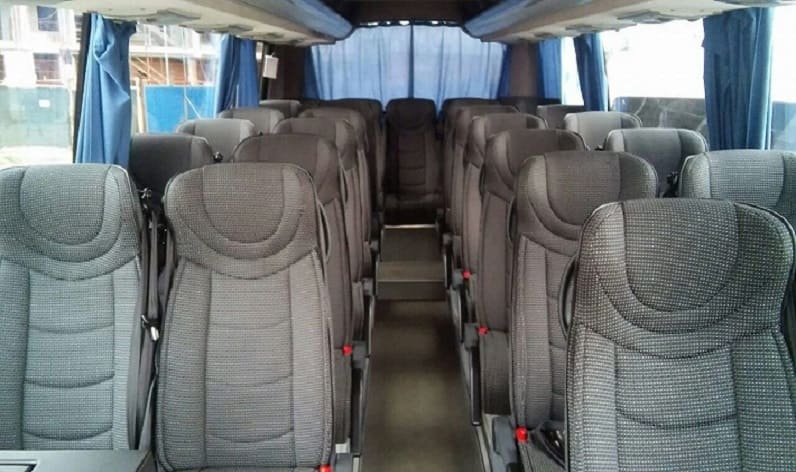 Germany: Coach hire in Saxony in Saxony and Grimma